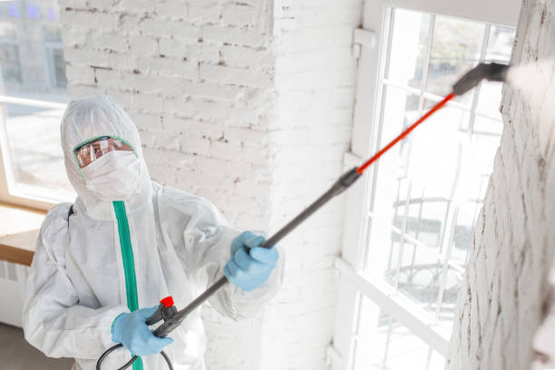 Best Emergency Mold Remediation  in Cochranton, PA