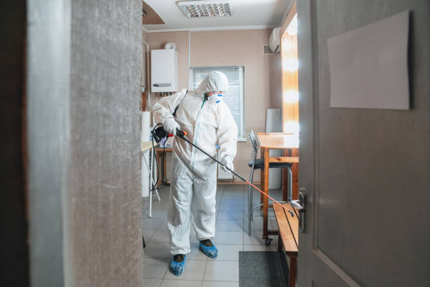 Best Asbestos and Lead Testing During Mold Inspection  in Cochranton, PA