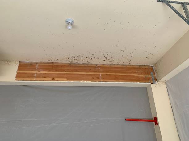 Best Commercial Mold Inspection  in Cochranton, PA